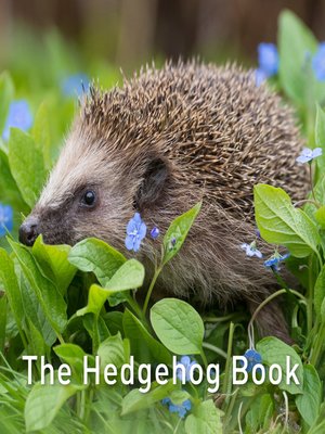 cover image of The Hedgehog Book